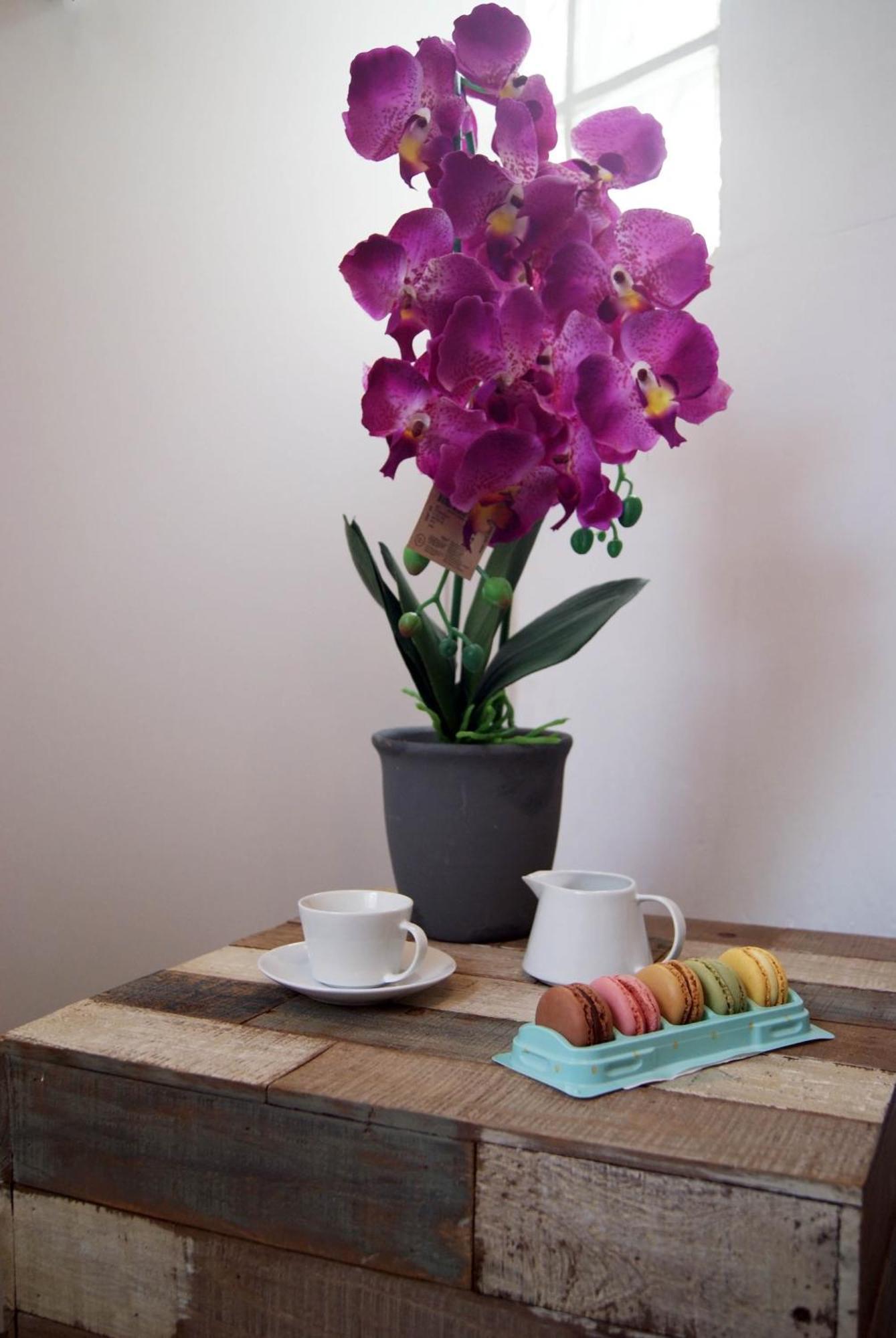 Apartamentos Centricos Barrio Del Carmen Valencia Buitenkant foto