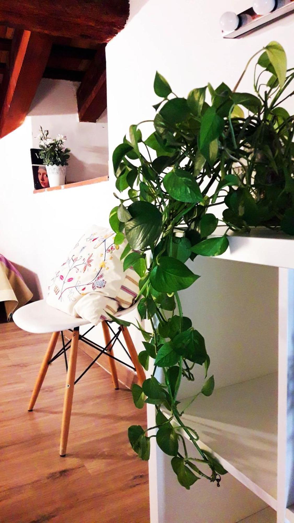 Apartamentos Centricos Barrio Del Carmen Valencia Buitenkant foto